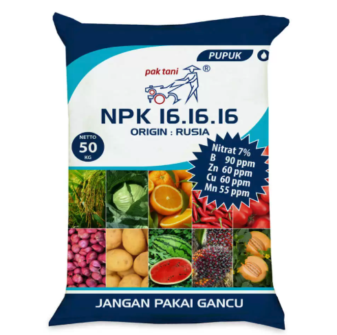 Warta Terbaru